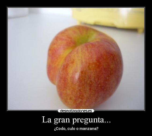 carteles pregunta del millon desmotivaciones