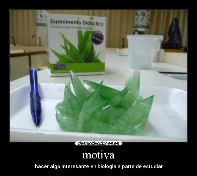 motiva - hacer algo interesante en biologia a parte de estudiar
