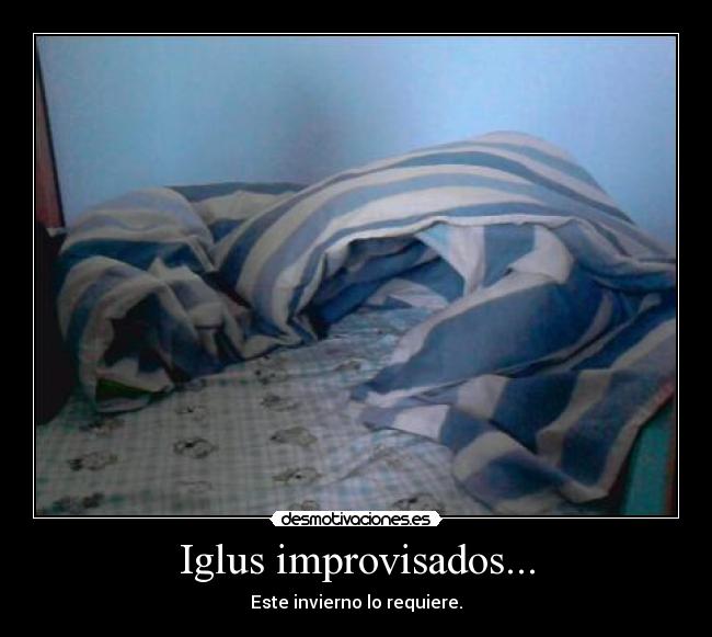 Iglus improvisados... - Este invierno lo requiere.