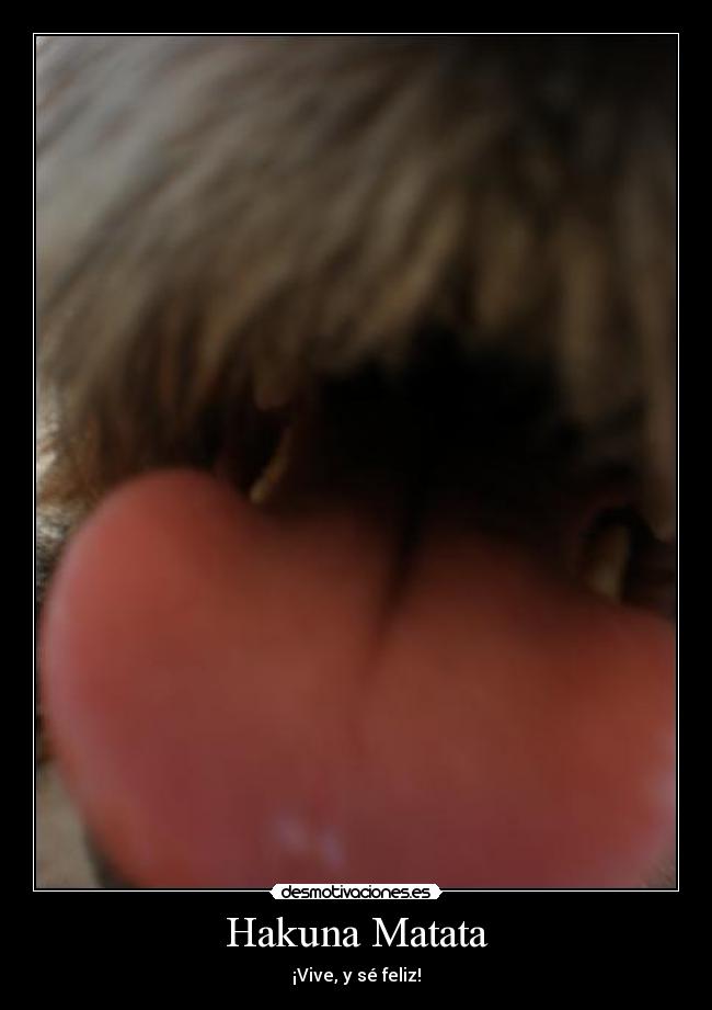 carteles hakuna matata timon pumba disney luckylucifer desmotivaciones