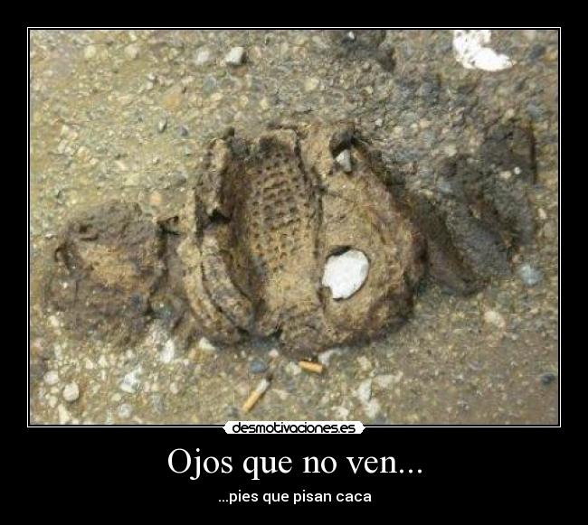Ojos que no ven... - ...pies que pisan caca