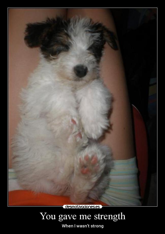 carteles luckylucifer desmotivaciones