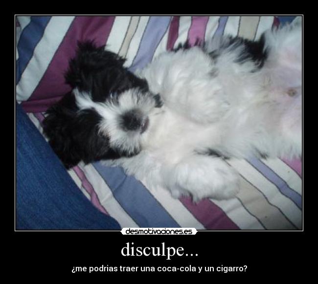 disculpe... - ¿me podrias traer una coca-cola y un cigarro?