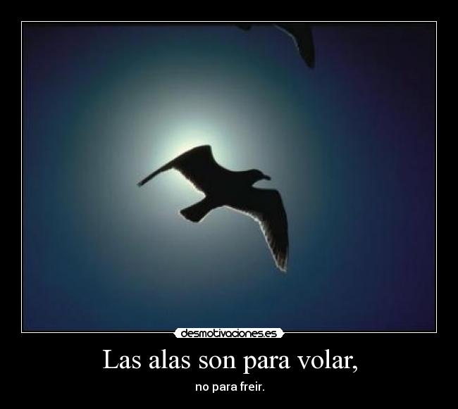 Las alas son para volar, - no para freir.