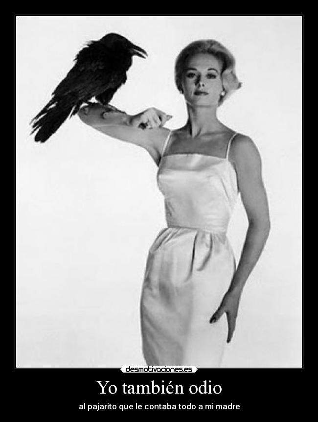 Yo también odio - al pajarito que le contaba todo a mi madre