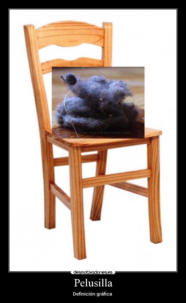 carteles pelusilla desmotivaciones