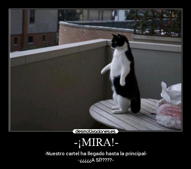 -¡MIRA!- - 