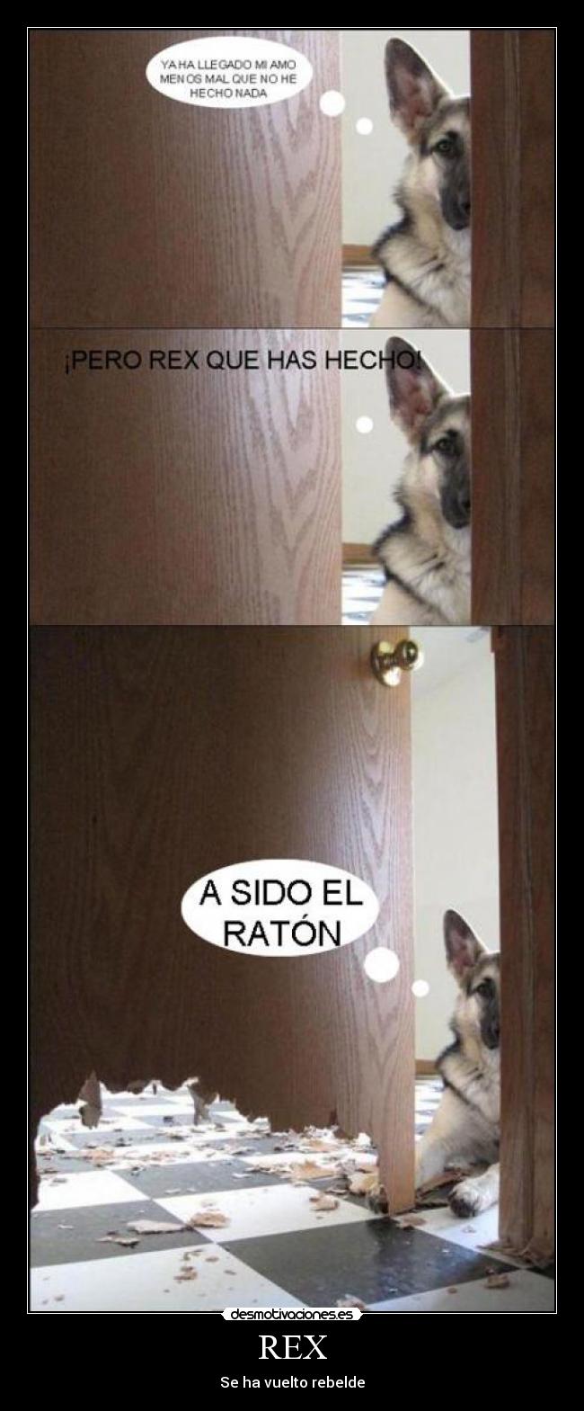 REX - Se ha vuelto rebelde