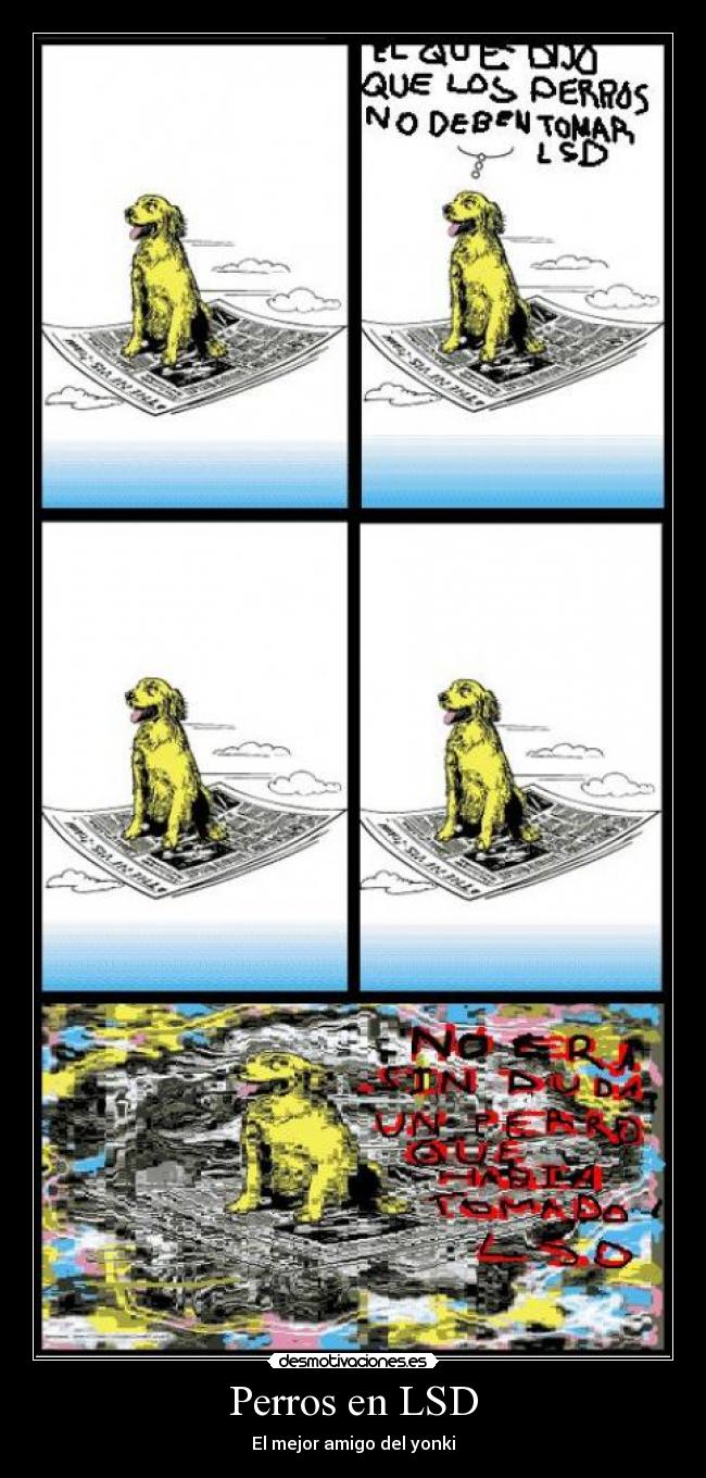 Perros en LSD -