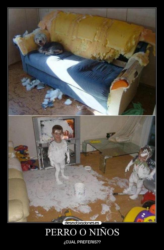 PERRO O NIÑOS - ¿CUAL PREFERIS??