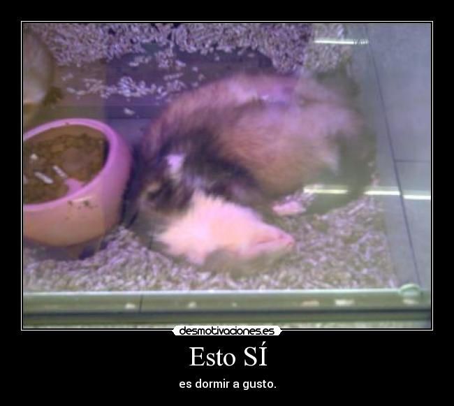 Esto SÍ - es dormir a gusto.