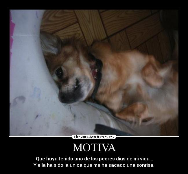 MOTIVA - 