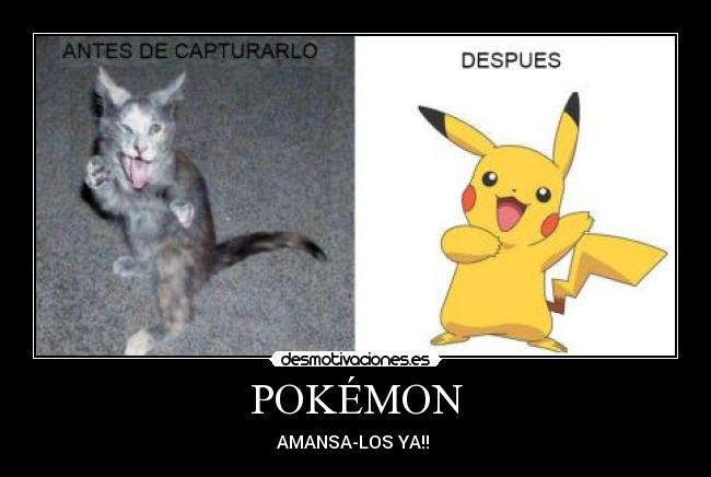 POKÉMON -