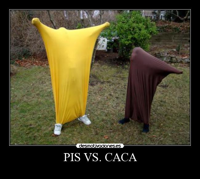 PIS VS. CACA - 