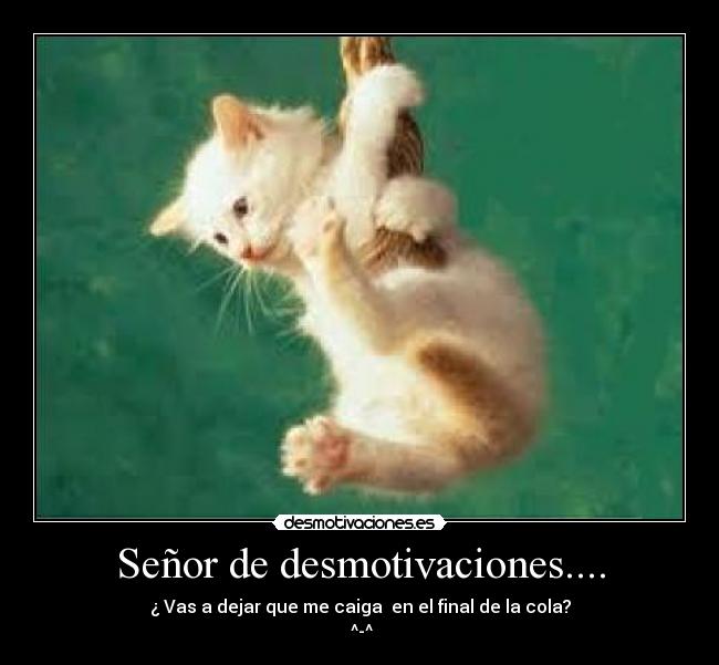 Señor de desmotivaciones.... - 