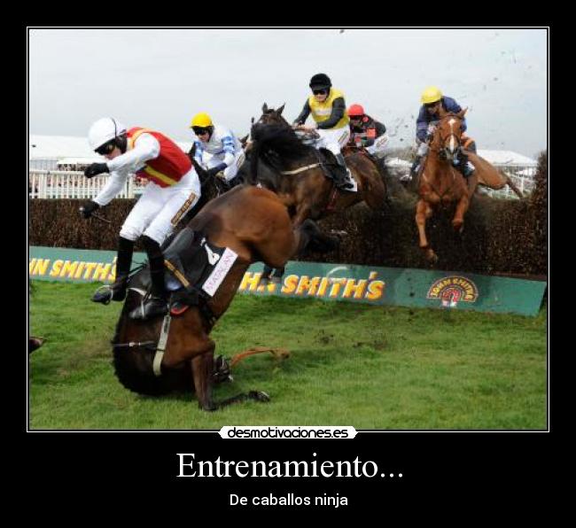 carteles caballos voltereta desmotivaciones