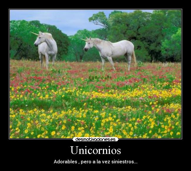 Unicornios -
