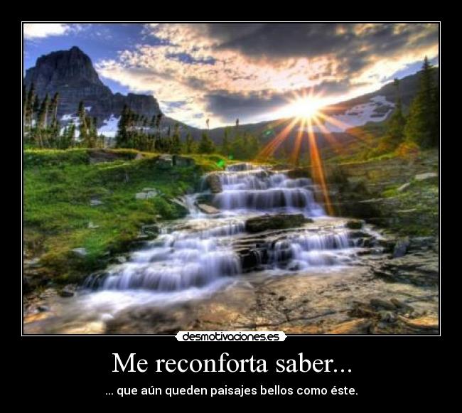 Me reconforta saber... -