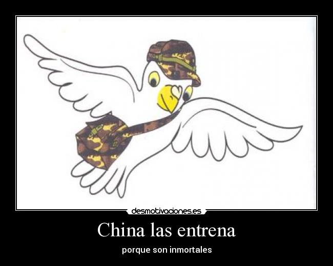 carteles paloma desmotivaciones