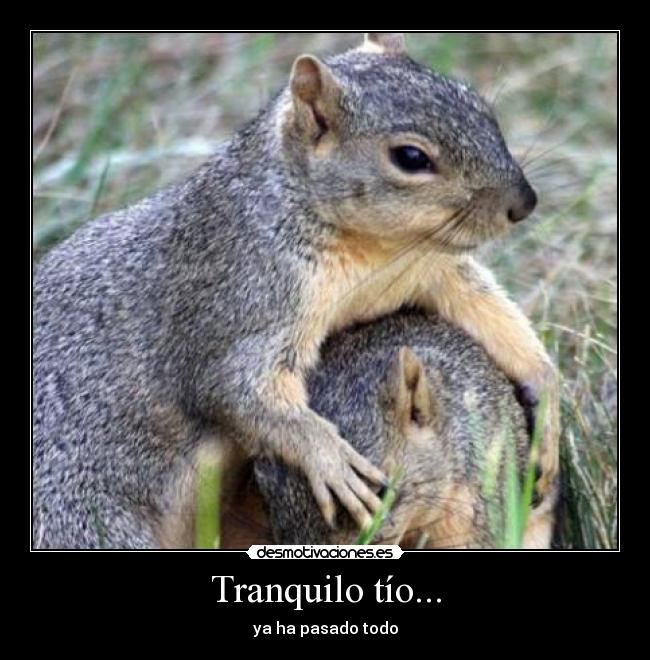Tranquilo tío... - 