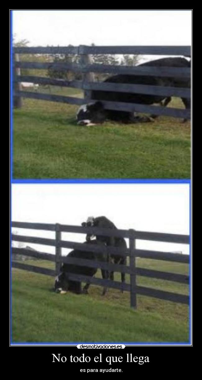 No todo el que llega - es para ayudarte.