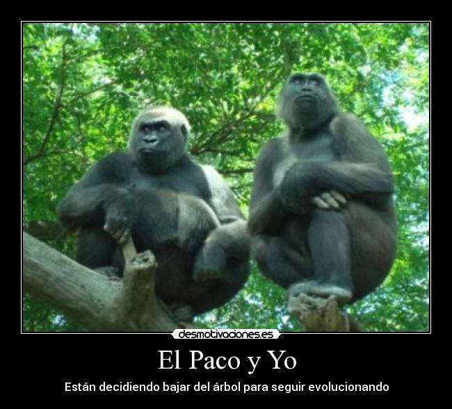 El Paco y Yo - 