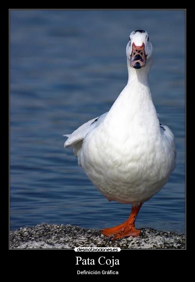Pata Coja - Definición Gráfica