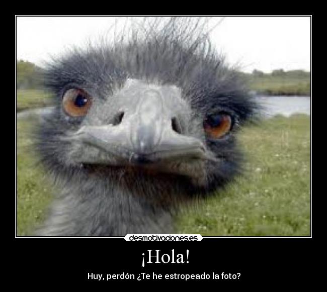 ¡Hola! - Huy, perdón ¿Te he estropeado la foto?