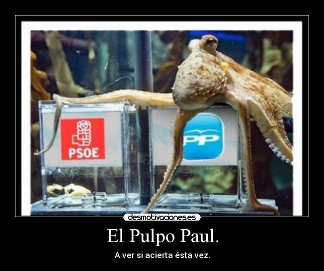 El Pulpo Paul. - 