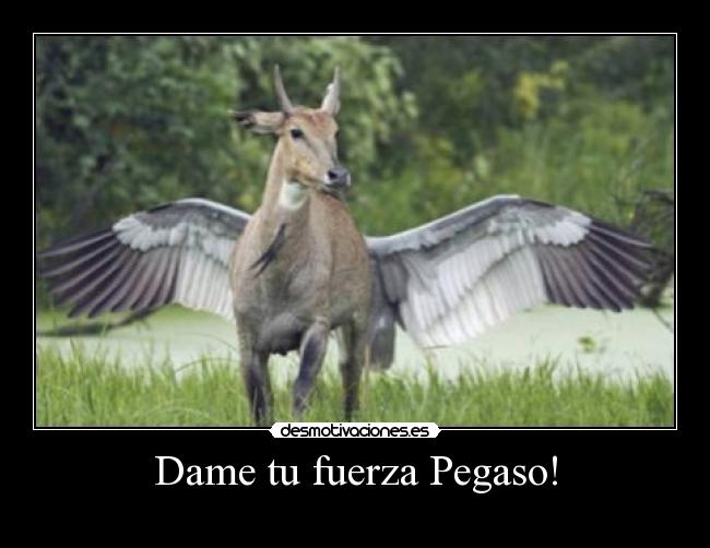 Dame tu fuerza Pegaso! -