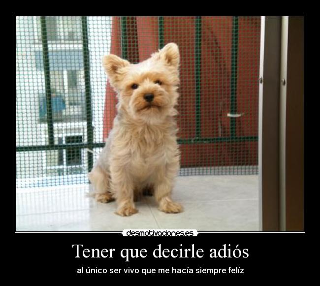 Tener que decirle adiós -