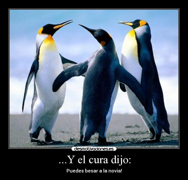 ...Y el cura dijo: - 