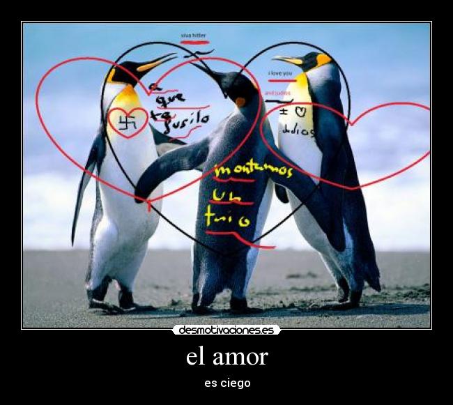 el amor - 