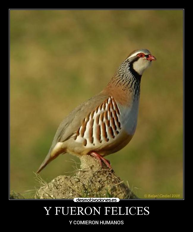 Y FUERON FELICES -