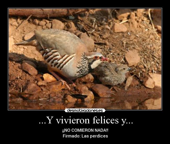 ...Y vivieron felices y... - 