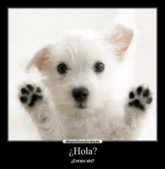 ¿Hola? - 