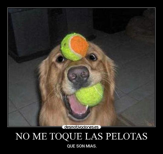 NO ME TOQUE LAS PELOTAS -
