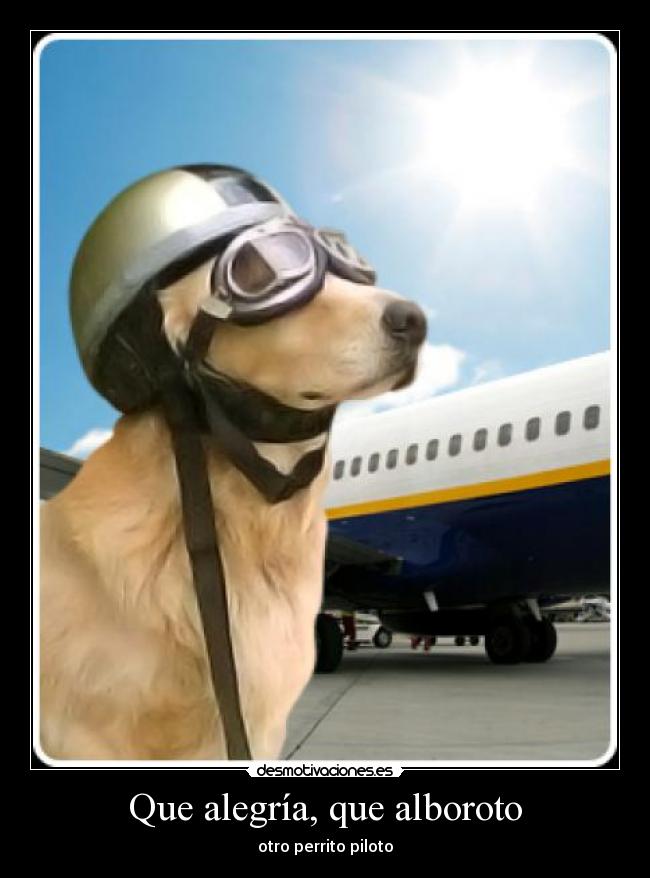 Que alegría, que alboroto -