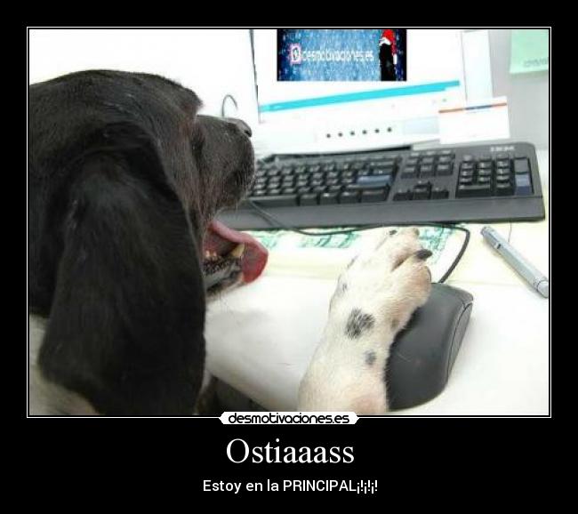 Ostiaaass - Estoy en la PRINCIPAL¡!¡!¡!