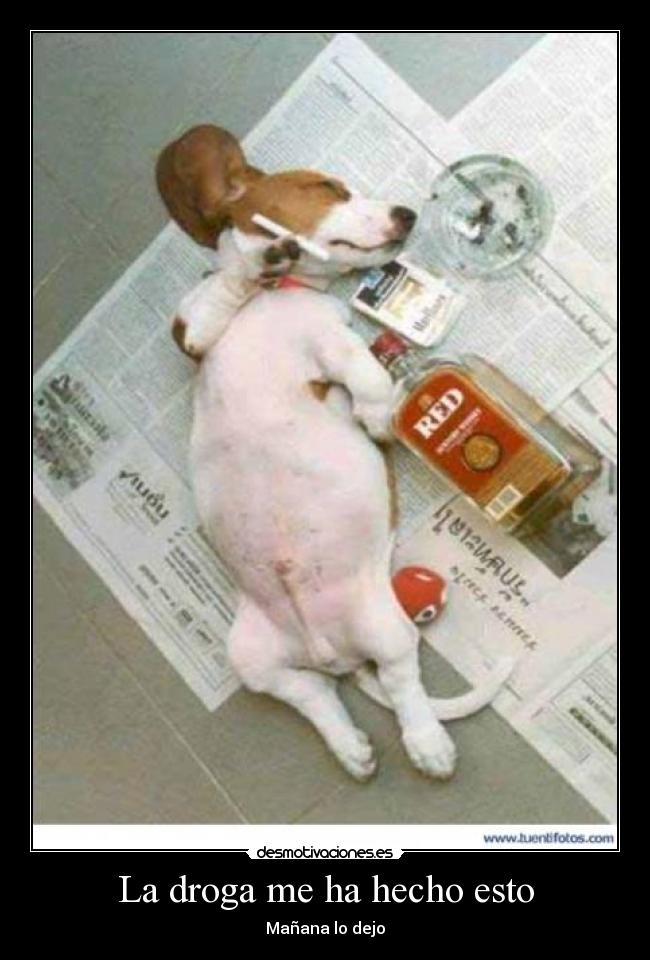 La droga me ha hecho esto - Mañana lo dejo