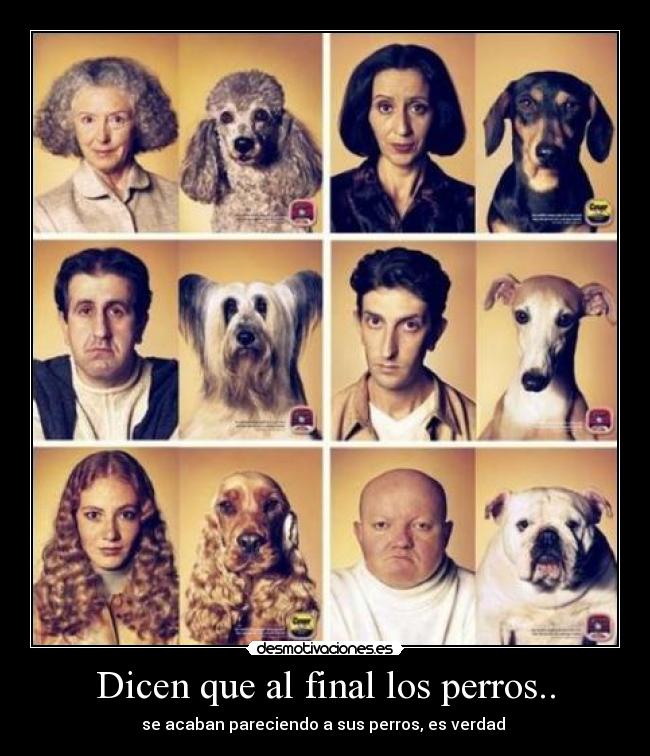 Dicen que al final los perros.. - se acaban pareciendo a sus perros, es verdad