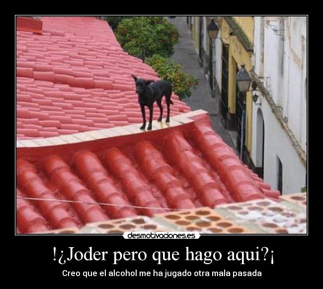 !¿Joder pero que hago aqui?¡ - Creo que el alcohol me ha jugado otra mala pasada