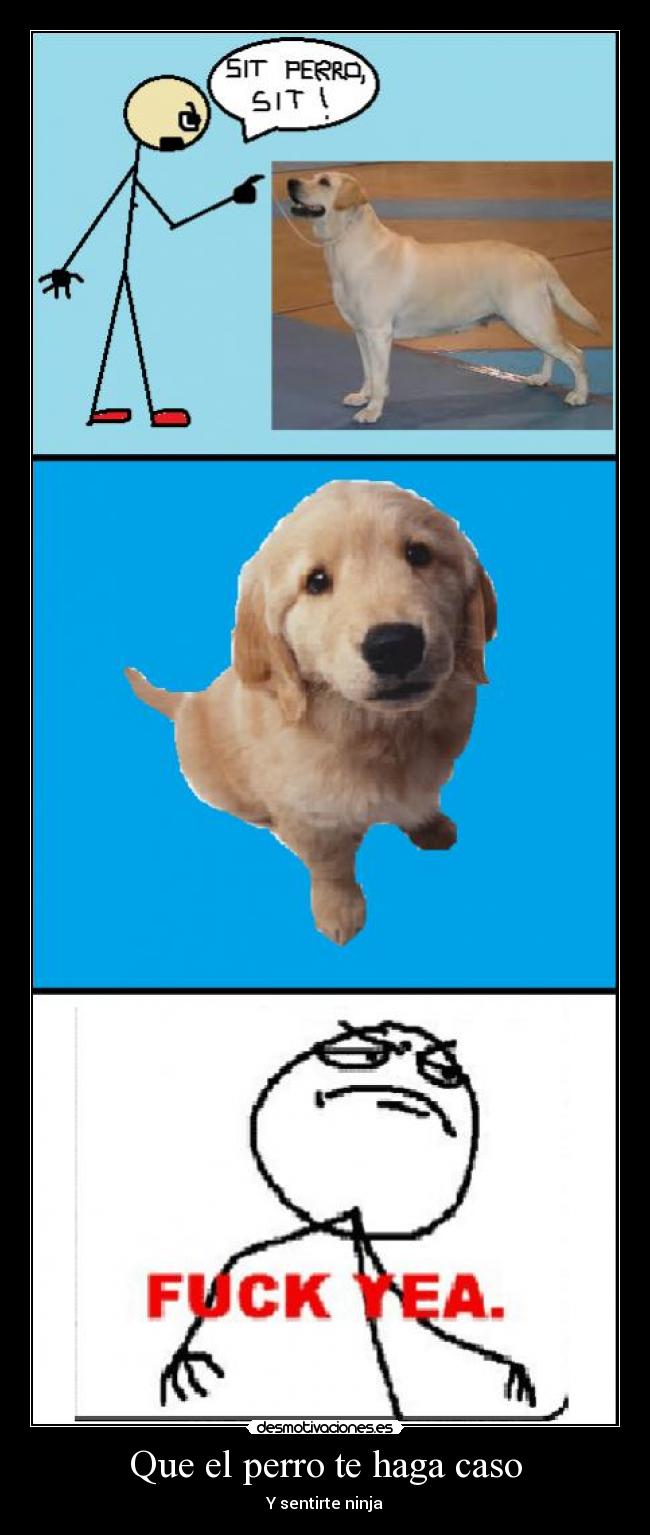 Que el perro te haga caso -