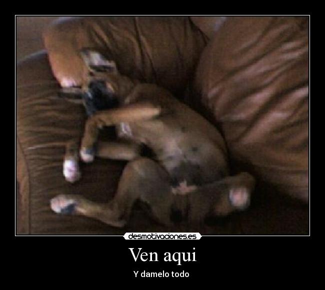 Ven aqui - Y damelo todo