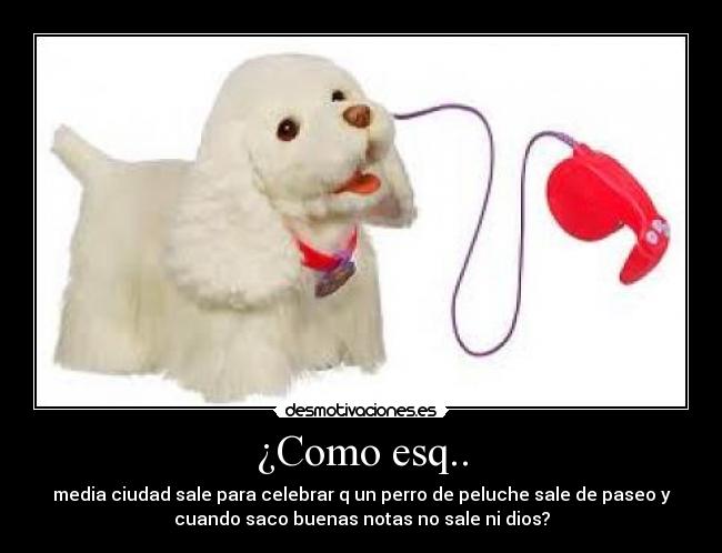 ¿Como esq.. - media ciudad sale para celebrar q un perro de peluche sale de paseo y
cuando saco buenas notas no sale ni dios?