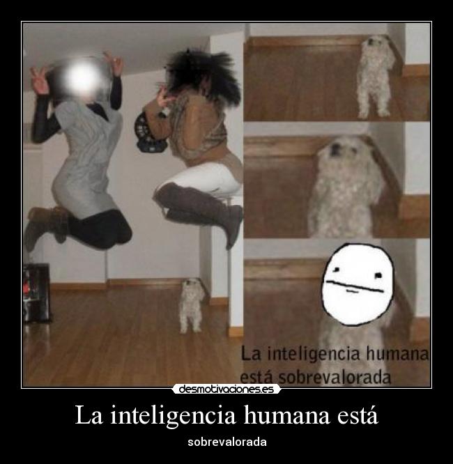 La inteligencia humana está - sobrevalorada