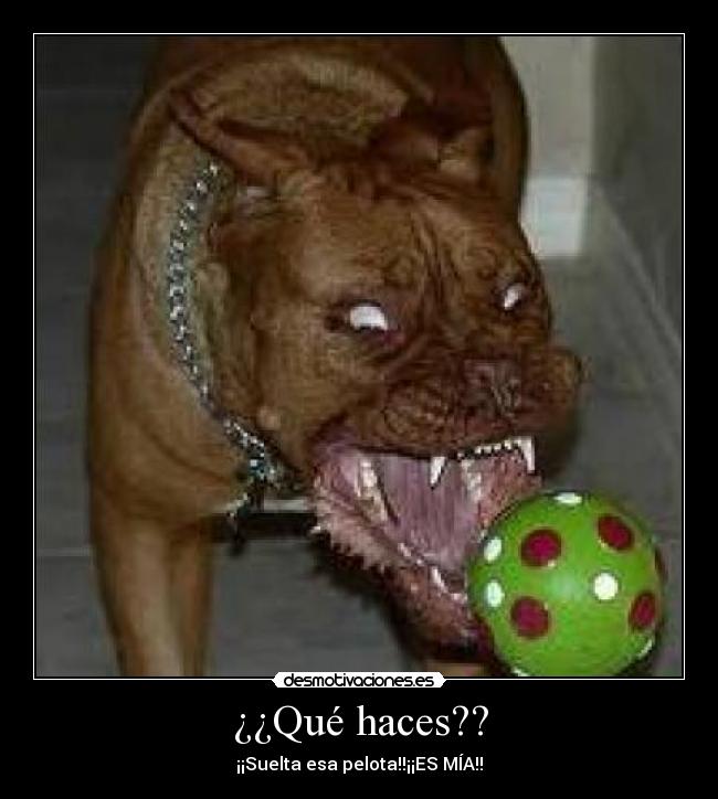 ¿¿Qué haces?? - 