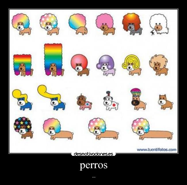 perros - ...