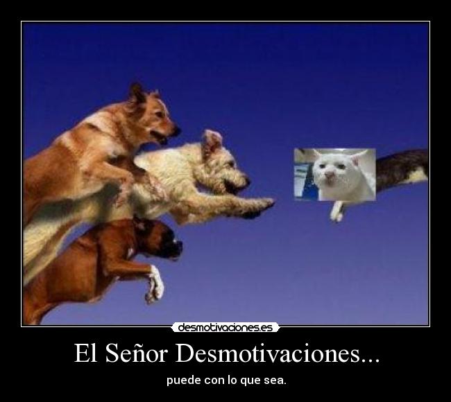 El Señor Desmotivaciones... - puede con lo que sea.
