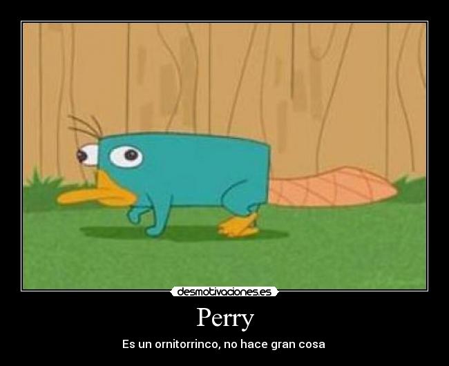Perry - Es un ornitorrinco, no hace gran cosa